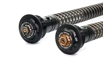 YAMAHA YZF R15 V3 (18~20) / MT15 (19~21) 前叉阻尼系統雙內管匣 倒叉 ( FFC-250-TT )